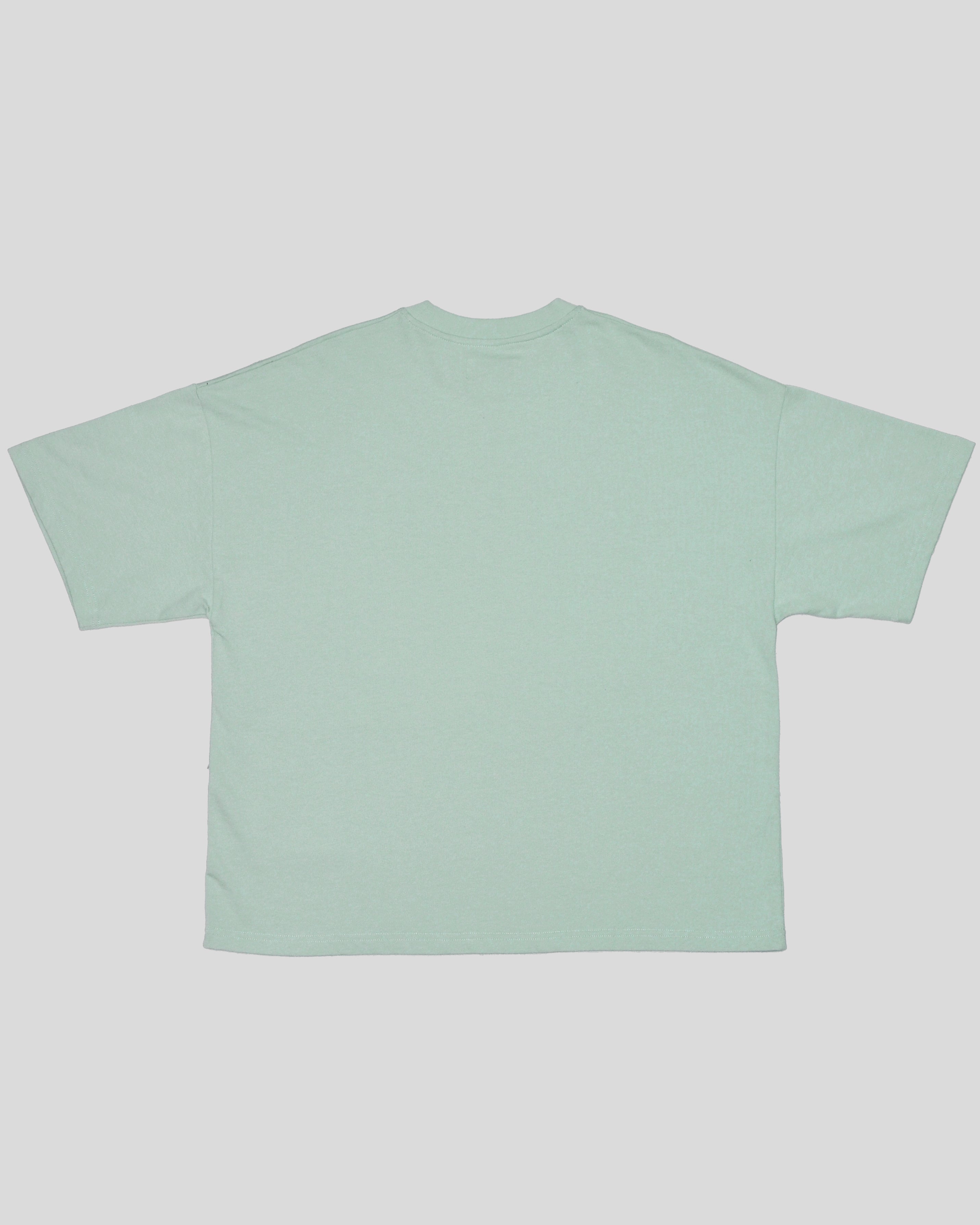 Camiseta Azul Frio Boxy Verdant Star
