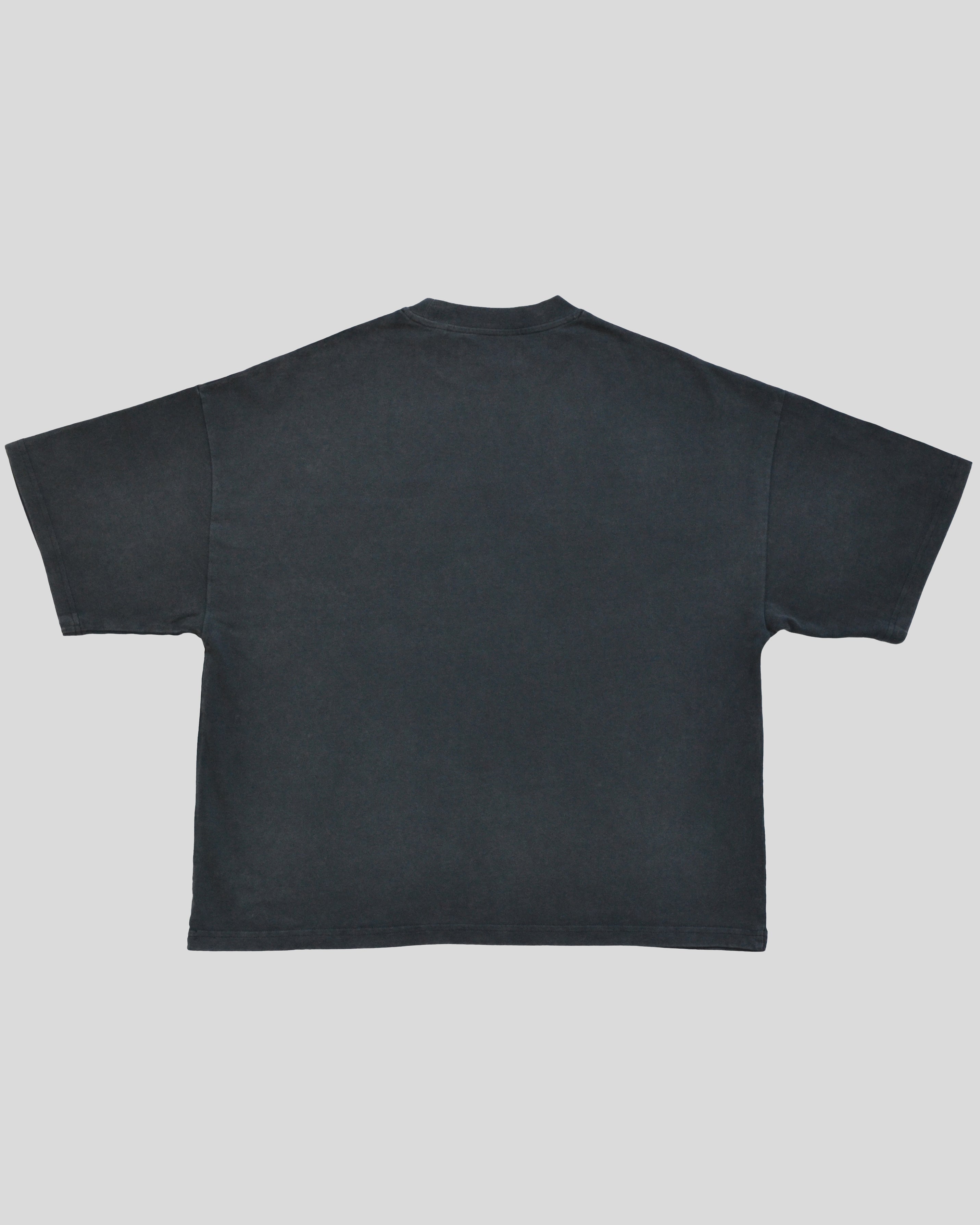 Camiseta Gris Boxy Harmony